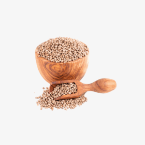 Coriander Seed